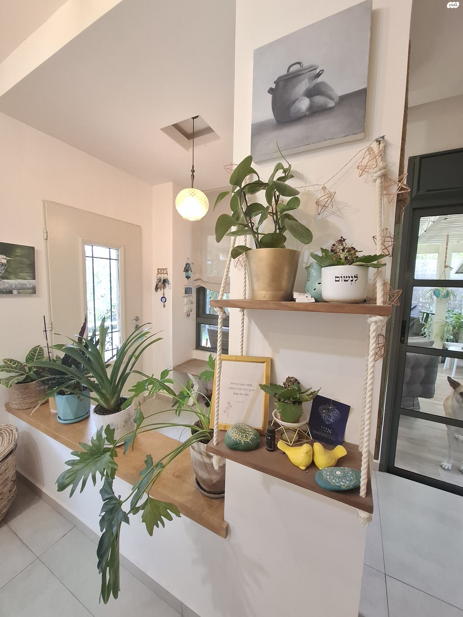 למכירה בכפר יונה, בית נדיר על מגרש נדיר